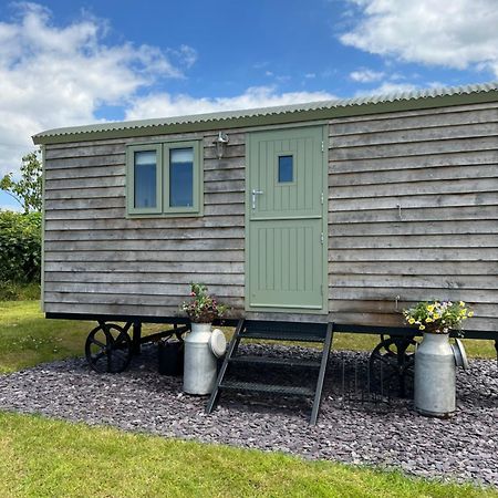 The Woolly Sheep Shepherd Huts Whitland المظهر الخارجي الصورة